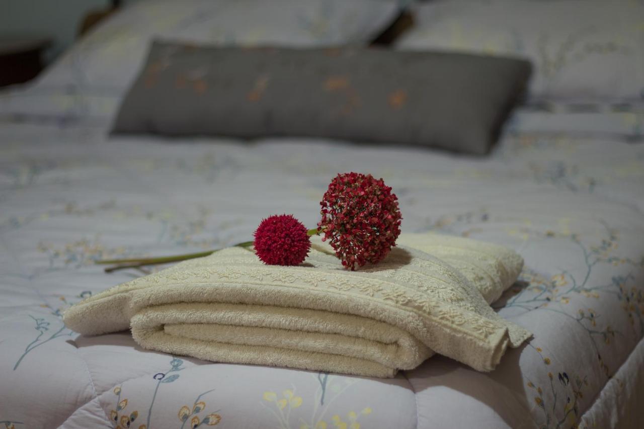 Akrolimnion Hotel อิโออันนินา ภายนอก รูปภาพ
